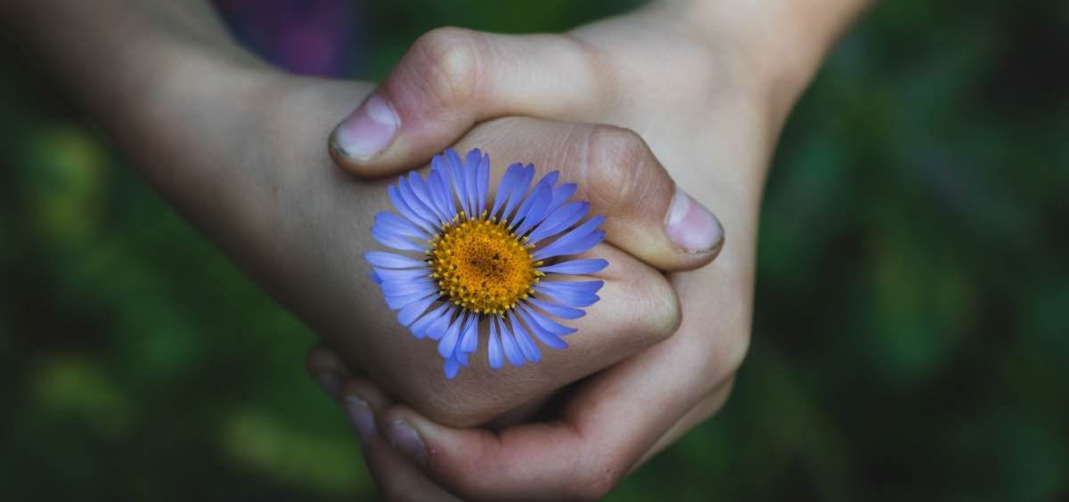 diazygio kai gonikes sygkroyseis 1f0a402b