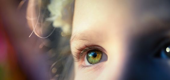 Η συναισθηματική νοημοσύνη των παιδιών (E.Q.)