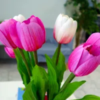 pk3random4.jpg 819220f8